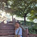 비비큐(BBQ) 태권도원점 네이버블로그