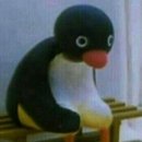 화