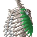 필라테스&요가(주간) 이미지