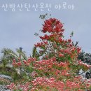 (주)아로마월드 이미지