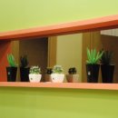 연세문상영의원 이미지