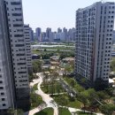 광장경정비 이미지