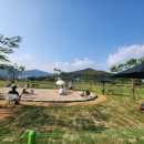 황산공원 미니기차 이미지