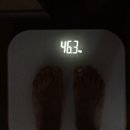 제주스방학 | [급찐급빠 다이어트] 2일 동안 2kg 감량 후기 클렌즈 디톡스 주스