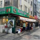 소노펠리체 델피노 이미지