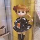 리틀램(little lamb)