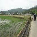 화산1길 이미지