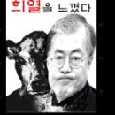 고향잔치국수 이미지