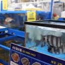 어촌식당 이미지