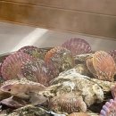 싱싱해물특공대 이미지