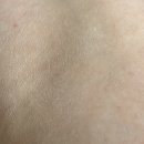 향기나꼬꼬 이미지