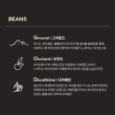 로아카페