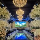 투어비스타 | 글로리아 웨딩홀 투어 &amp; 계약 후기｜3층 비스타홀