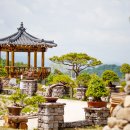 해안야생화체험장 이미지