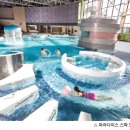 파라다이스스파도고 이미지