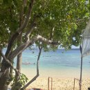 투어어드바이저(주) 이미지