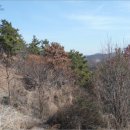 복산리 달천 이미지