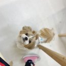 쿠앤밤상점 네이버블로그