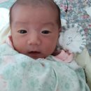 용인대 석사 대호태권도 이미지