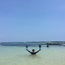 제주시 하도어촌계 이미지