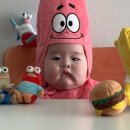 베니베니 네이버블로그