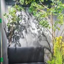 카페비 | 대흥동카공 이색데이트 물고기 카페 내돈내산 비워터 후기