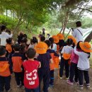 두미르어린이집 이미지