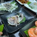 해송수산 티스토리
