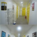 24게스트하우스 서울시청점 네이버블로그