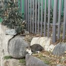 두꺼비세차 | #73 1월 마무리