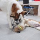 대박1농장 이미지