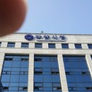 안양시청 앞 이미지