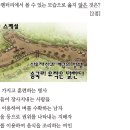 21회 한국사능력검정시험 중급 1번 해설 : 송국리 유적과 청동기 시대상 이미지