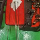 야산염소 이미지