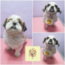 웃개살롱 이미지