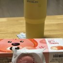 임신 30주차 일상일기(얼쓰빕/아기 용품 당근/빕친자/31주 정기검진 후기)