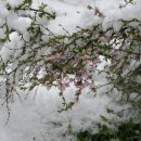 천지공원 이미지