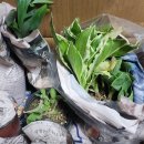 행주농장 이미지