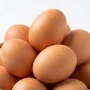 항암치료 중 빈혈 및 혈소판 감소 회복에 도움되는 대표적인 식품 이미지