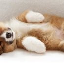 MH ET CENTER 이미지