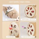 산타펫 - 2280 | 산타펫