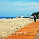 삼척해수욕장C 연합뉴스