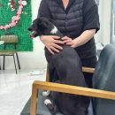 살롱다올,그루밍 이미지