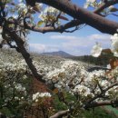 24절기 생태교육 이미지