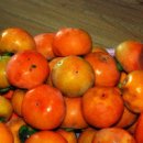 윤기농장 이미지