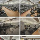 현대에프앤에스 | 압구정동헬스장 현대에프앤에스 가격위치정보