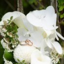 무이비엔 이미지