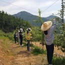 내이동행정복지센터 이미지