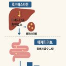 히스토바이오 이미지