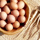 와이(Y)인터네셔날 이미지